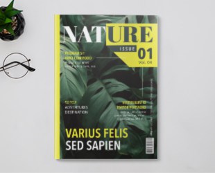 Magazine Saddle Stitch Printing